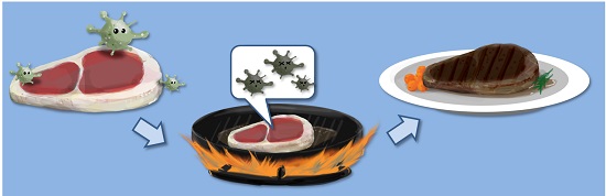 Bacteria In Raw Meat Vs Cooked Meat