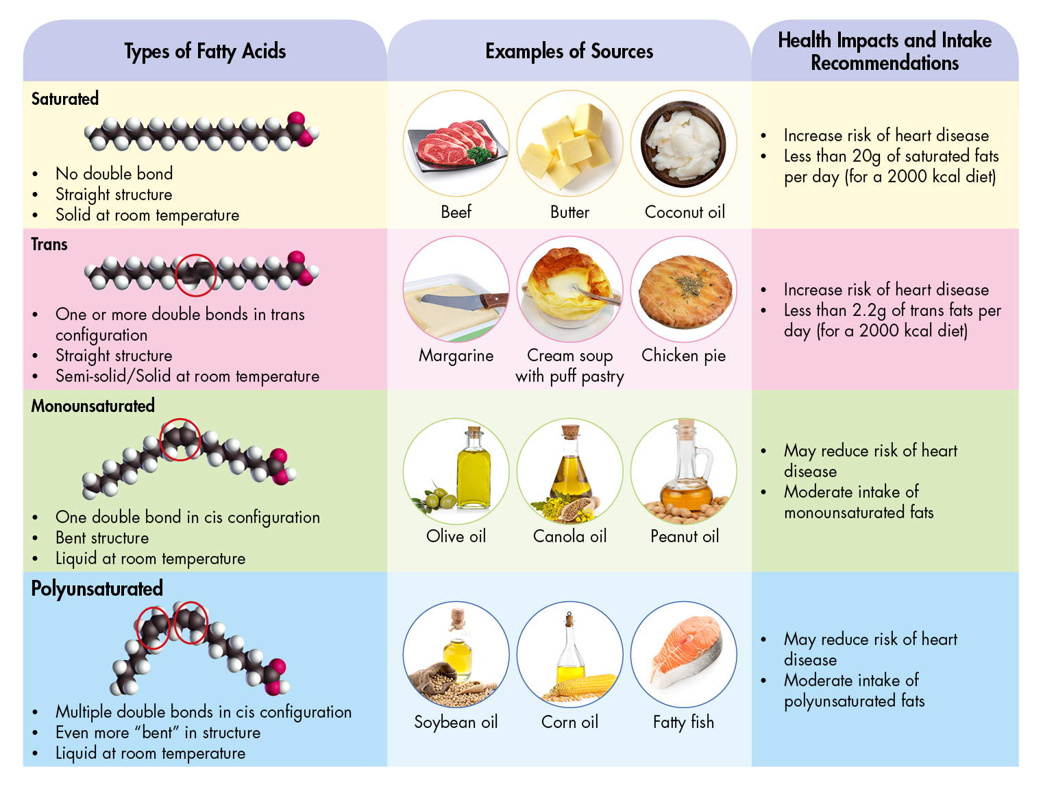 lipids examples food